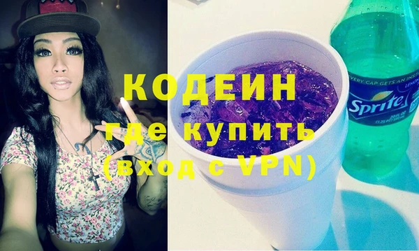 индика Медвежьегорск