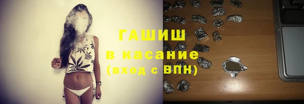 индика Медвежьегорск