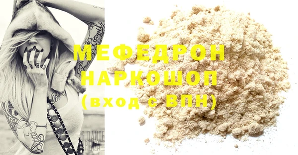 индика Медвежьегорск
