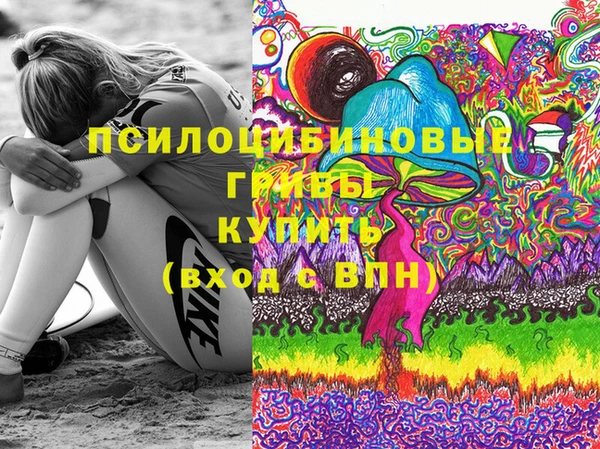 спайс Мегион
