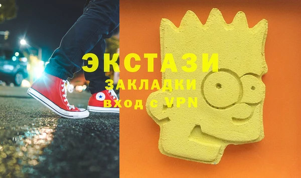 индика Медвежьегорск