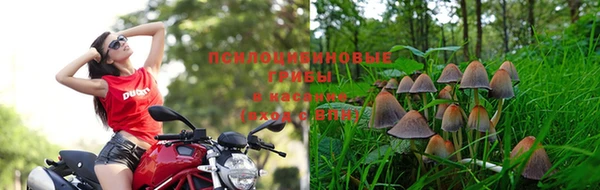 таблы Медногорск