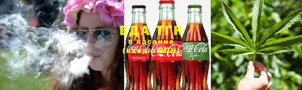 индика Медвежьегорск