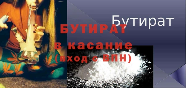 индика Медвежьегорск