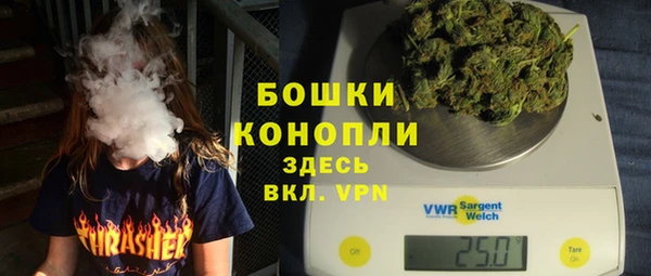 индика Медвежьегорск