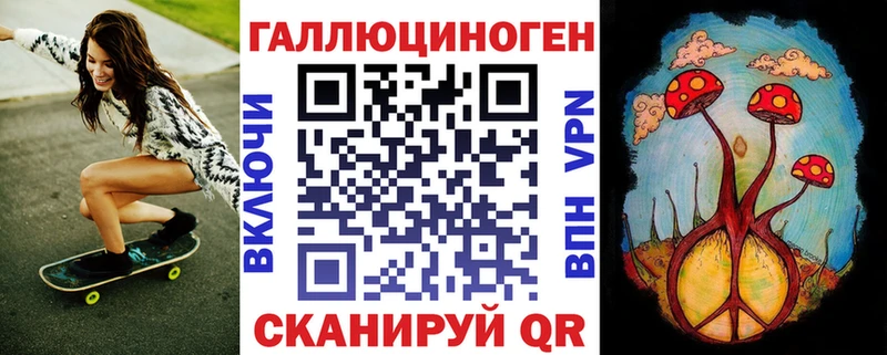 Купить  Липки  Псилоцибиновые грибы Cubensis 